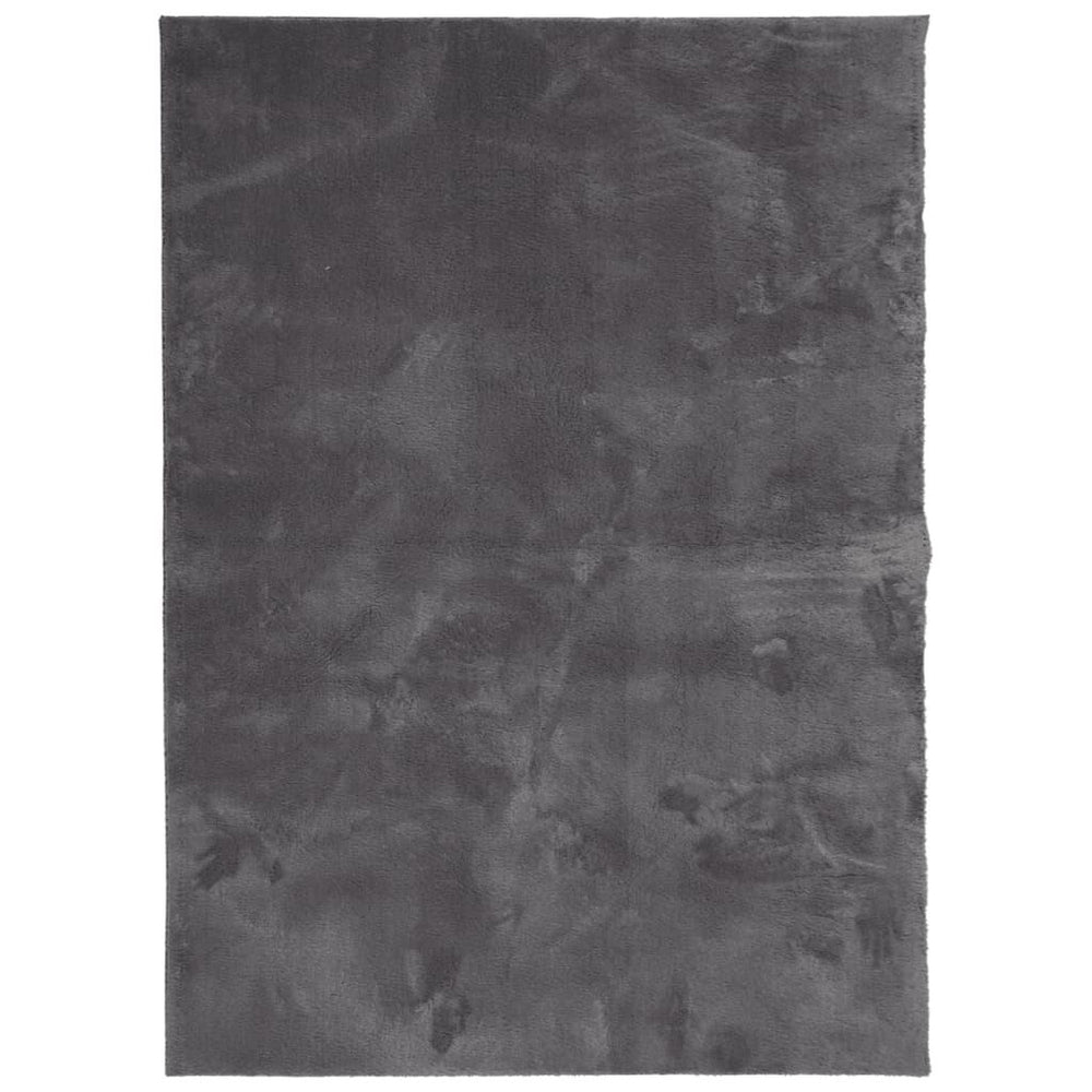 Kilimas HUARTE, antracito, 120x170 cm, trumpi šereliai