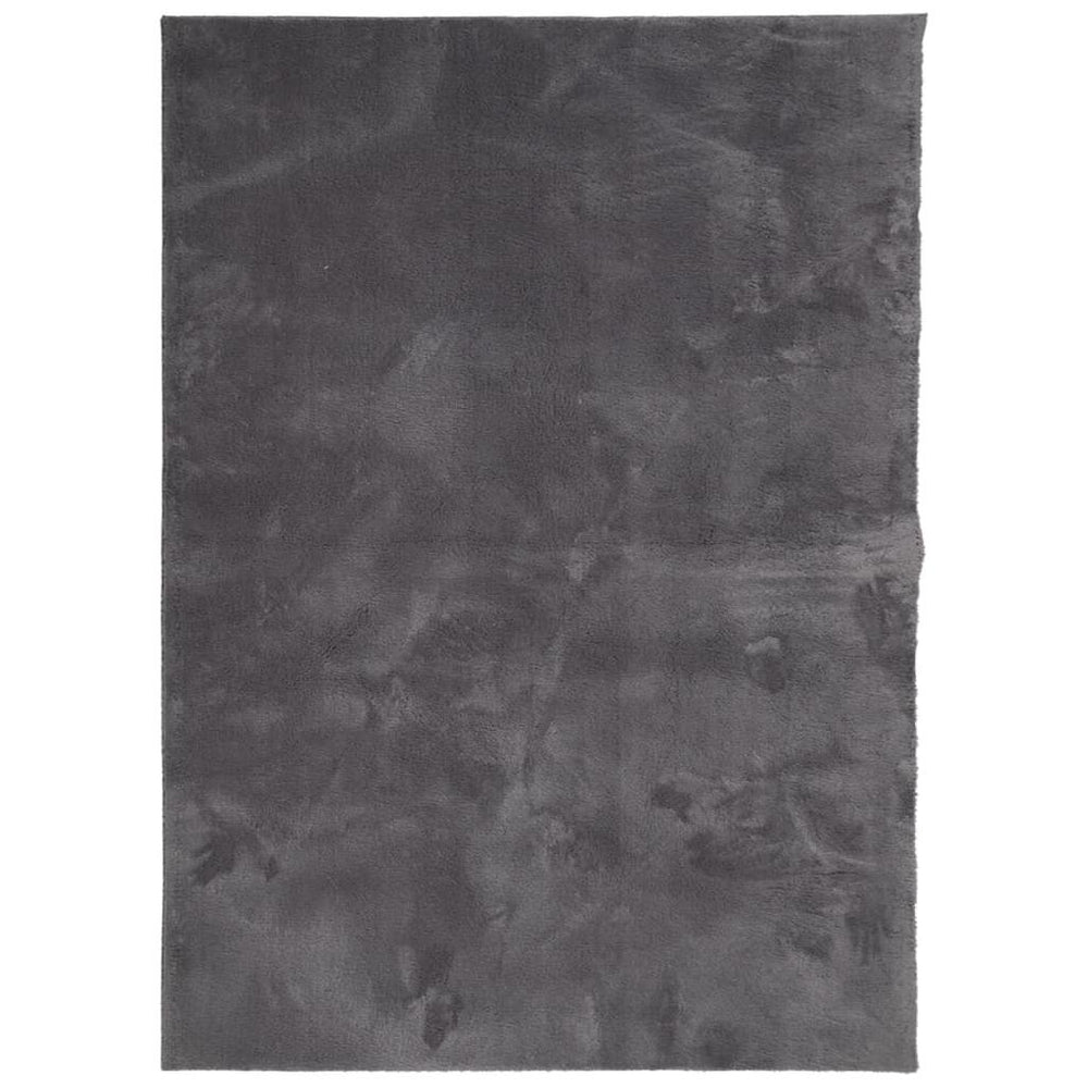 Kilimas HUARTE, antracito, 200x280 cm, trumpi šereliai