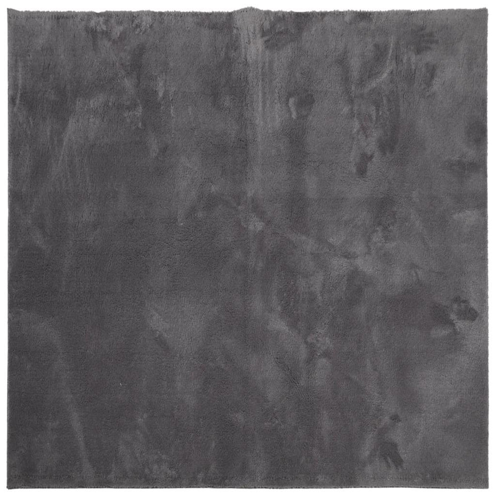 Kilimas HUARTE, antracito, 240x240 cm, trumpi šereliai